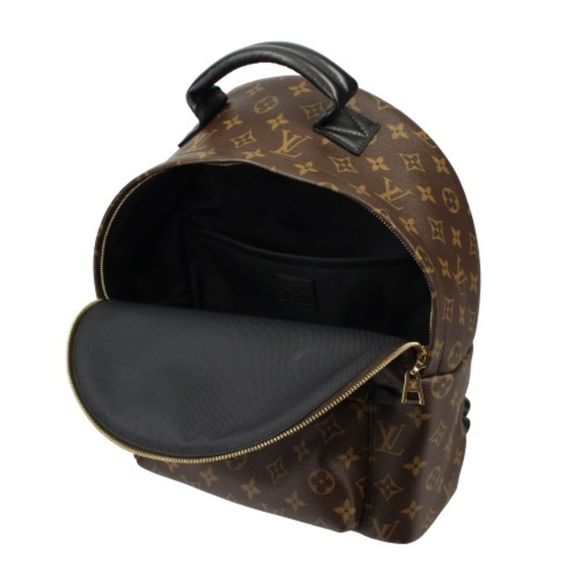 Louis Vuitton Backpack Monogram Palm Springs MM - Picture 3 of 8